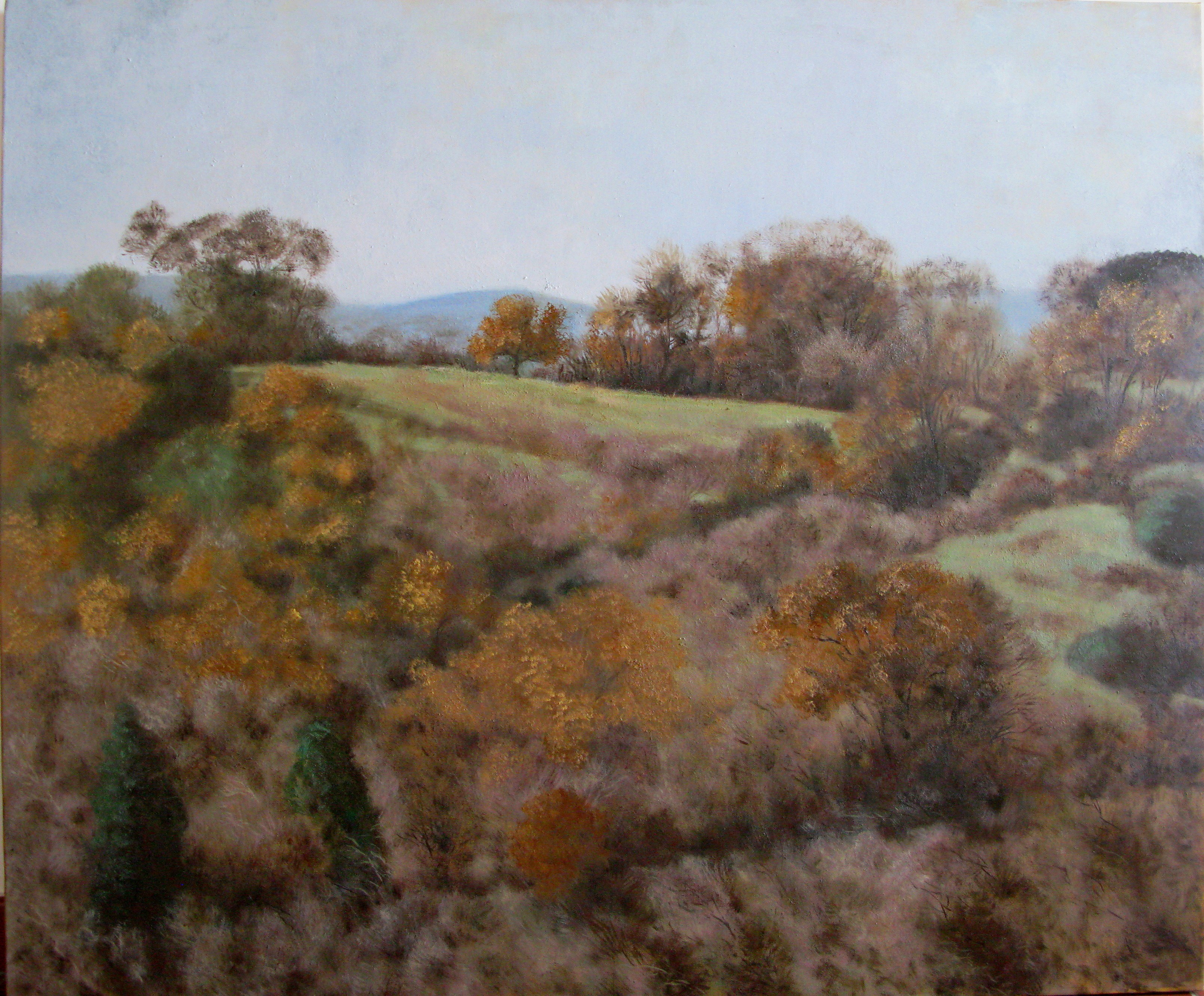 B 17) Paesaggio invernale nella Tuscia, pomeriggio, olio su tela, 100x120, 2012