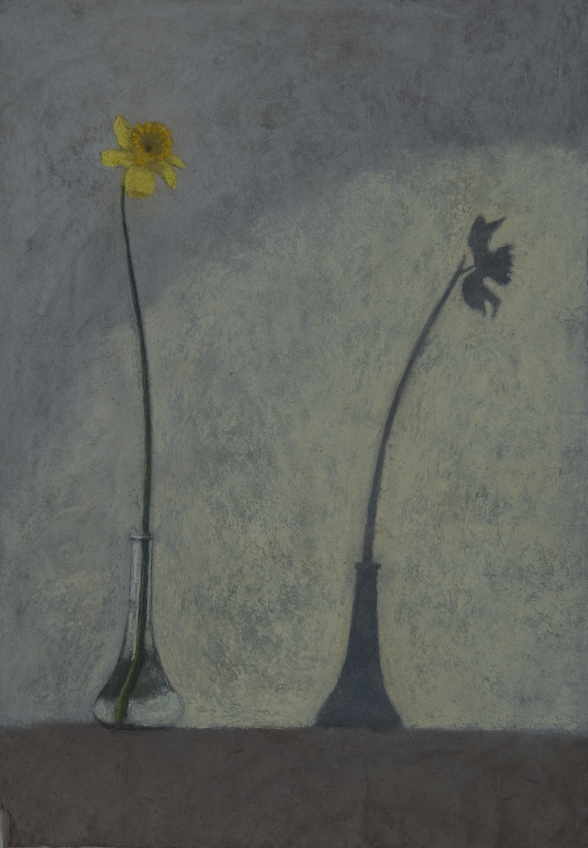 B 20) Narciso e l'ombra, 2009, pastello su carta nepalese, 75x50jpg