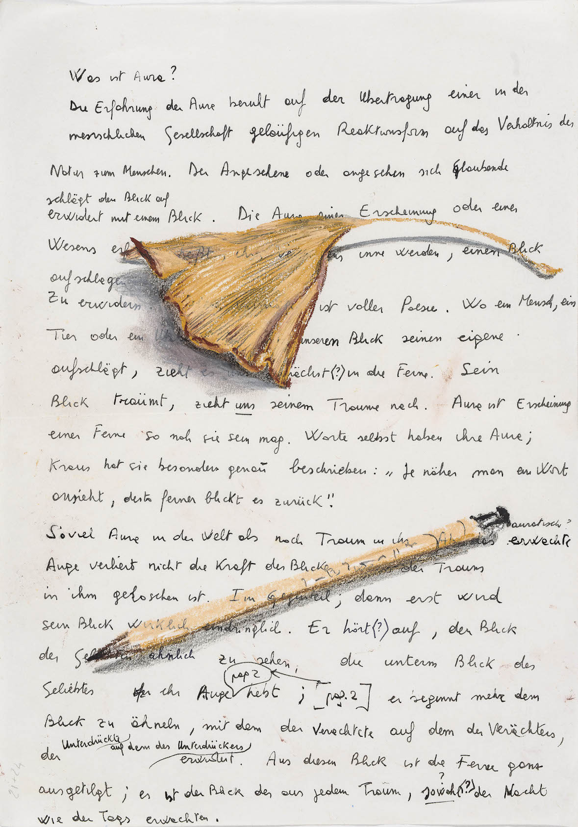 Nello spazio della scrittura,Foglia secca di ginko e matita su fotocopia di manoscritto di Walter Benjamin, 2018, pastello, 31x23